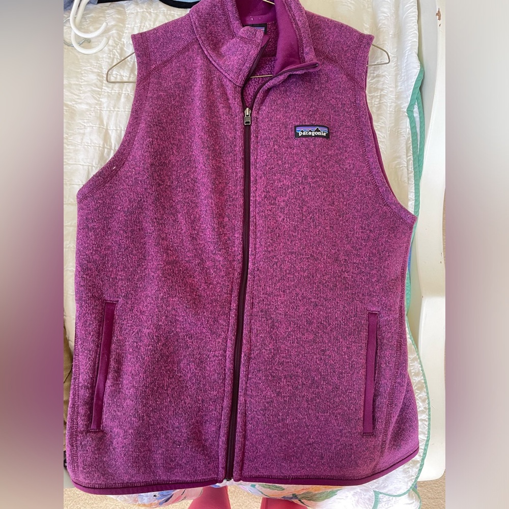 Patagonia vest